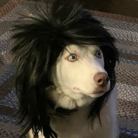 About Me - Picture 1 of 1